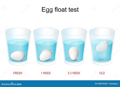 Sink Or Float Egg Freshness Test Vector Illustration Cartoondealer