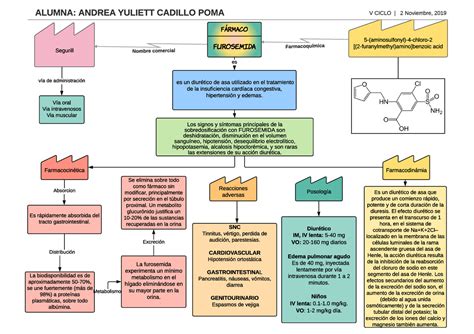 Mapa Conceptual De Farmacocinetica Rollo Images And Photos Finder