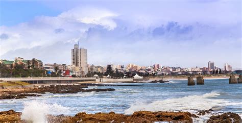 gqeberha  port elizabeth africa safari trips