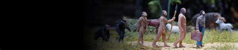 Human evolution news, articles and features | New Scientist