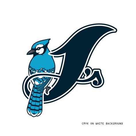 Toronto artist redesigns Blue Jays logo - Bluebird Banter