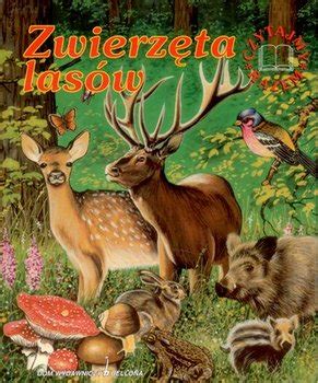 Zwierzęta lasów Wiśniewski Krzysztof Książka w Sklepie EMPIK