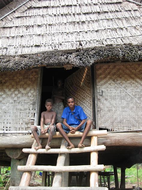 Aprender Acerca Imagen Casas De Papua Nueva Guinea Abzlocal Mx