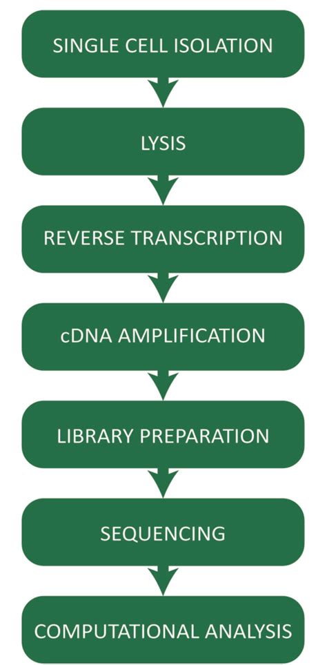 Figure 1 From Single Cell Gene Expression To Understand The Dynamic