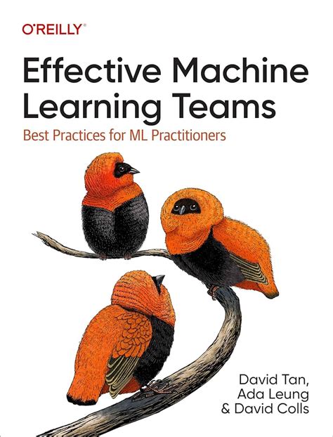 Effective Machine Learning Teams Thoughtworks