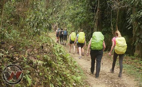 Nuevo Trekking Ciudad Perdida 5 Días De Aventura