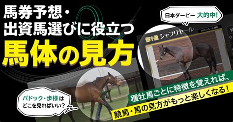 【馬体の見方】キズナ産駒・エピファネイア産駒はここを見よ！北枕鳩三郎が解説【競馬予想や一口馬主に役立つ】 競馬動画特集