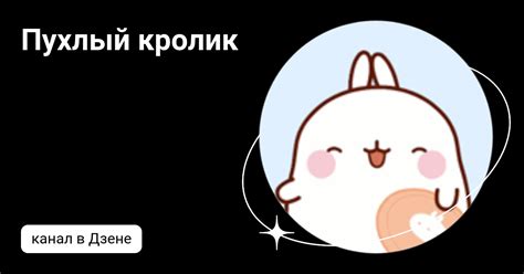 Пухлый кролик | Дзен