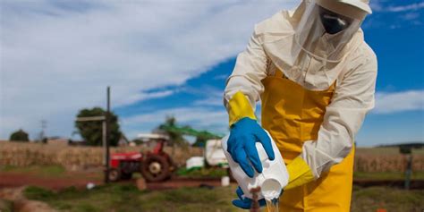 Equipamentos de Proteção Individual por que e como usar Foco Rural