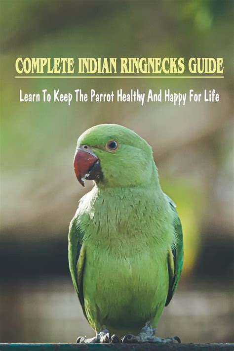 Buy Complete Indian Ringnecks Guide Learn To Keep The Parrot Y And