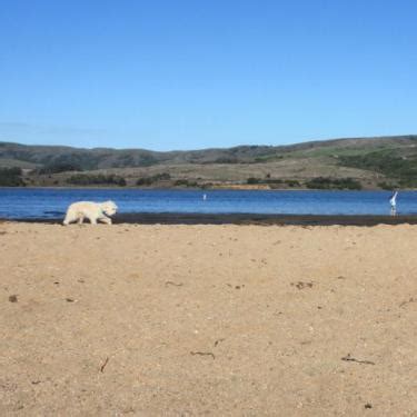 Marin County Beaches | Marin Mommies