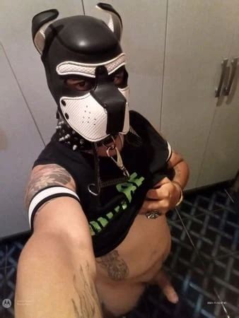 Filmes Porn S Gay De Porno Brasileiro P Hd V Deos De Sexo De Porno Brasileiro Xhamster