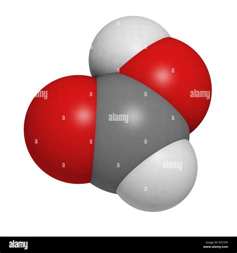 Formic Acid Ant Sting Chemical Molecular Model Atoms Are Represented