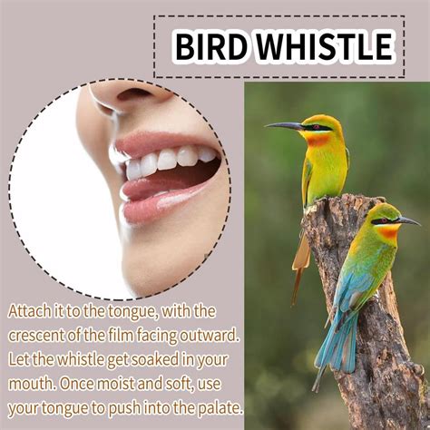 Bird Training Whistle Inside Mouth Hiden Tweeting Noisemaker Toy Tricks