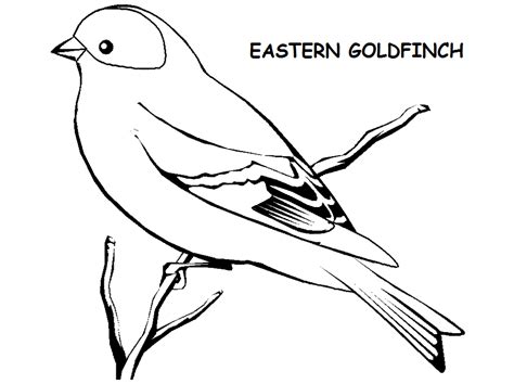 The Top 8 American Goldfinch Coloring Pages - Coloring Pages