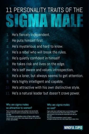 Sigma male 12 personality traits to identify him – Artofit