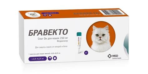 Бравекто для кошек: инструкция по применению | Звери дома