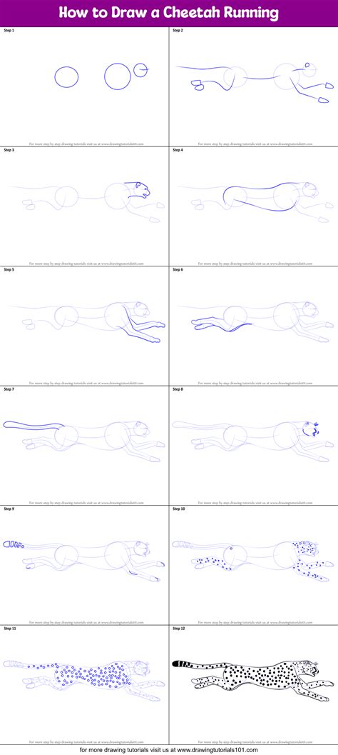 How to Draw a Cheetah Running printable step by step drawing sheet ...