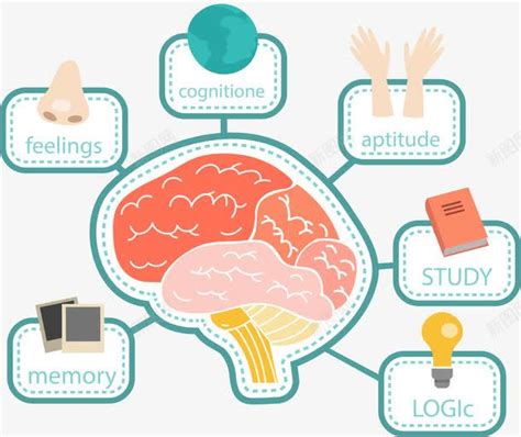 卡通最强大脑思维导图png图片免费下载 素材7xQWjWVUa 新图网