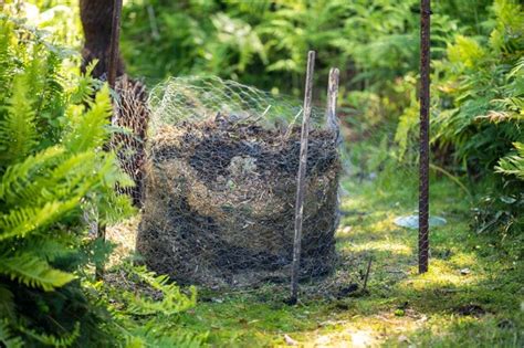 Adicionando Restos De Comida A Uma Pilha De Compostagem Casca De Ovo