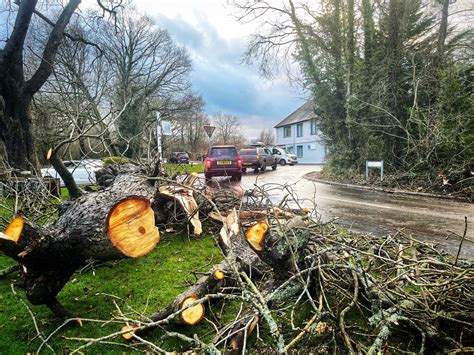 STORM HENK: Trees down, roads closed, flood warnings in place