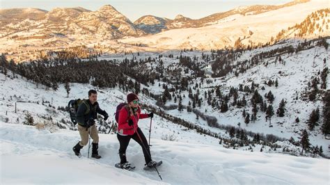 Snowshoeing in Yellowstone Cures Cabin Fever