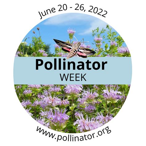 Its Pollinator Week Earthwise Environmental Services Resources