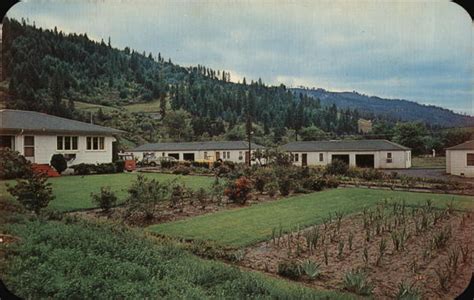 Riverside Motel Orofino, ID Postcard