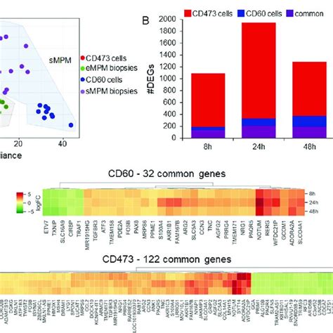 Transcriptomic Analysis Of Control And Treated Samples A Principal Download Scientific Diagram