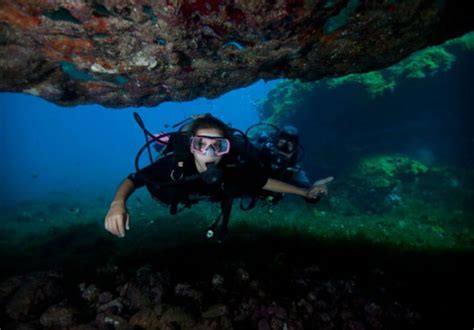 Mergulho Cilindro A Melhor Forma De Conhecer O Mar Em Noronha