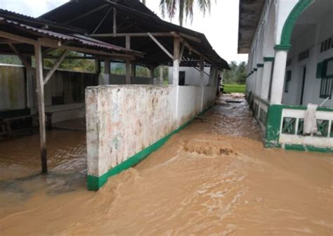 Desa Sipangko Langganan Banjir Ini Penyebabnya