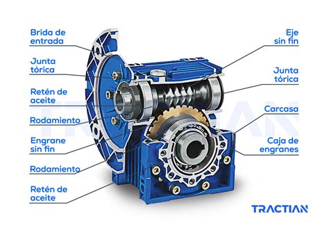 Mantenimiento de motorreductores técnicas avanzadas