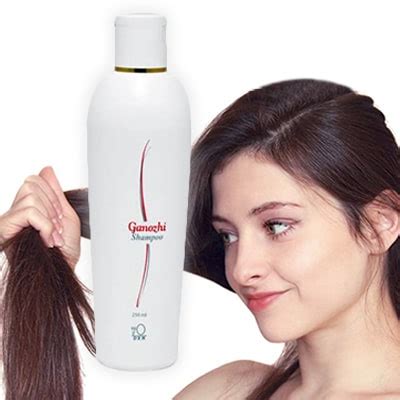 Shampoo Ganozhi Dxn Todos Los Beneficios Para Tu Cabello