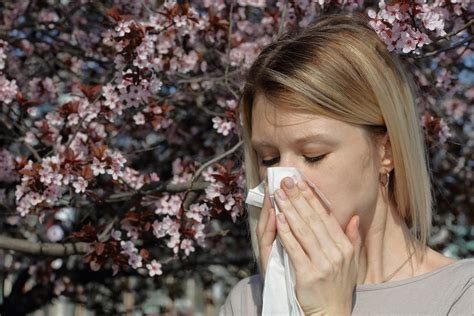 Md Doctor This Allergy Season Could Get Even Worse Wtop