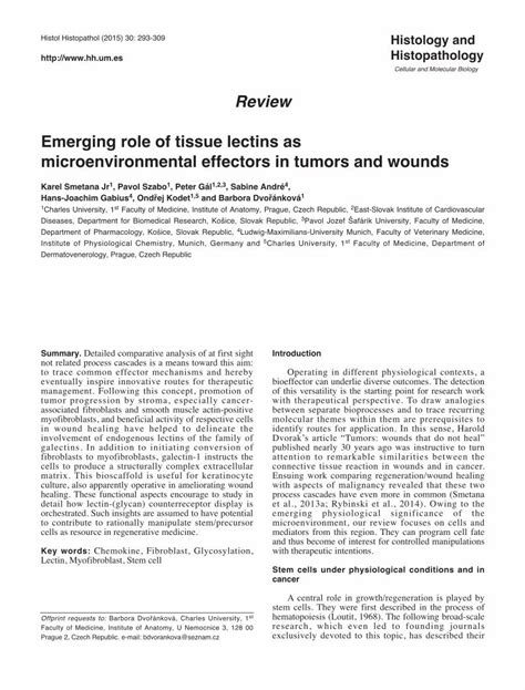 Pdf Emerging Role Of Tissue Lectins As Microenvironmental Anat Lf