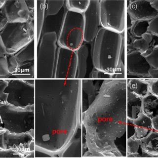 SEM Images Of WBCC Treated At Different Pyrolysis Temperatures A