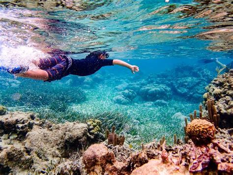 The Great Blue Hole Lighthouse Reef Atoll Snorkel San Pedro