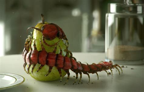 Scolopendra Gigantea :: Behance