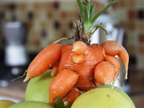 Silly Saucy Scary Photos Show The Many Faces Of Ugly Fruit The