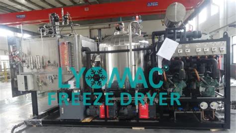 100 Liter Commercial Pharma Dryervacuum Freeze Pharma Drying Machine