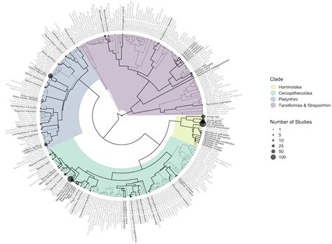 Collaboration and Transparency in Primate Cognition Research