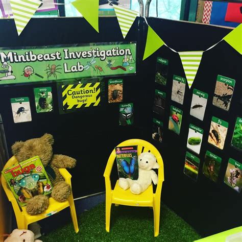 Teach Learn Create On Instagram Minibeast Investigation Lab Resources