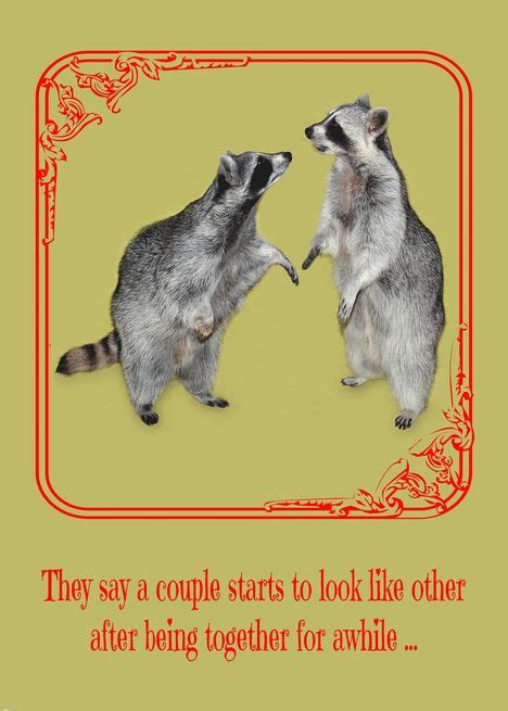 Anniversary For Spouse A Raccoon Staring Into The Eyes Of Another Card