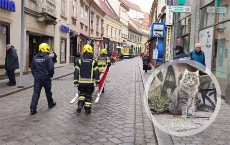 Ovo Je Aleks Ma Ak Iz Centra Zagreba Koji Je Od Amio Na Krovu Jer Se