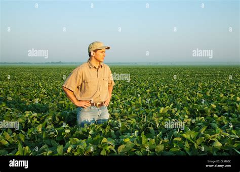 A Farmer Grower Looks Out Over His Field And Examines His Mid Growth