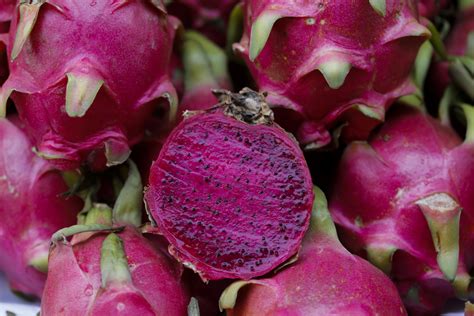 How To Grow Dragon Fruit From Seed