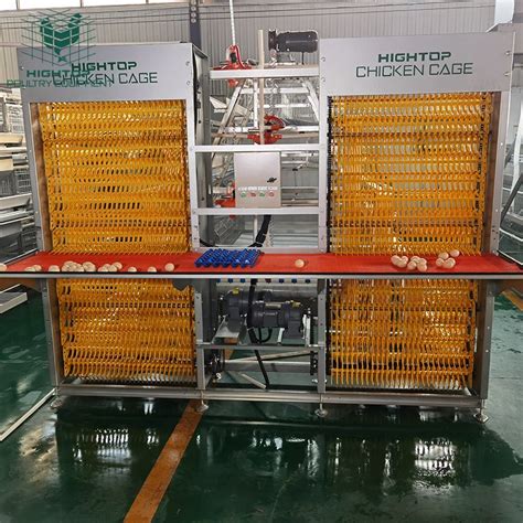 Poultry Farming Equipment Supplier A Type Automatic Egg Layer Chicken