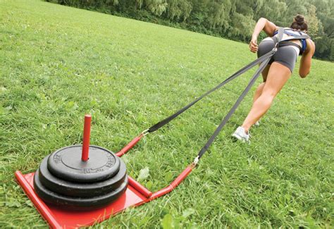 sled track backyard gym