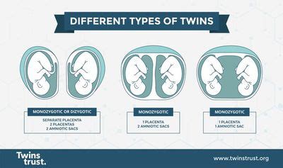 Twins Trust Identical Or Non Identical