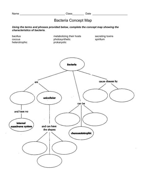 Bacteria Concept Map Worksheet